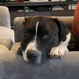 Meet your Posher, Olivia